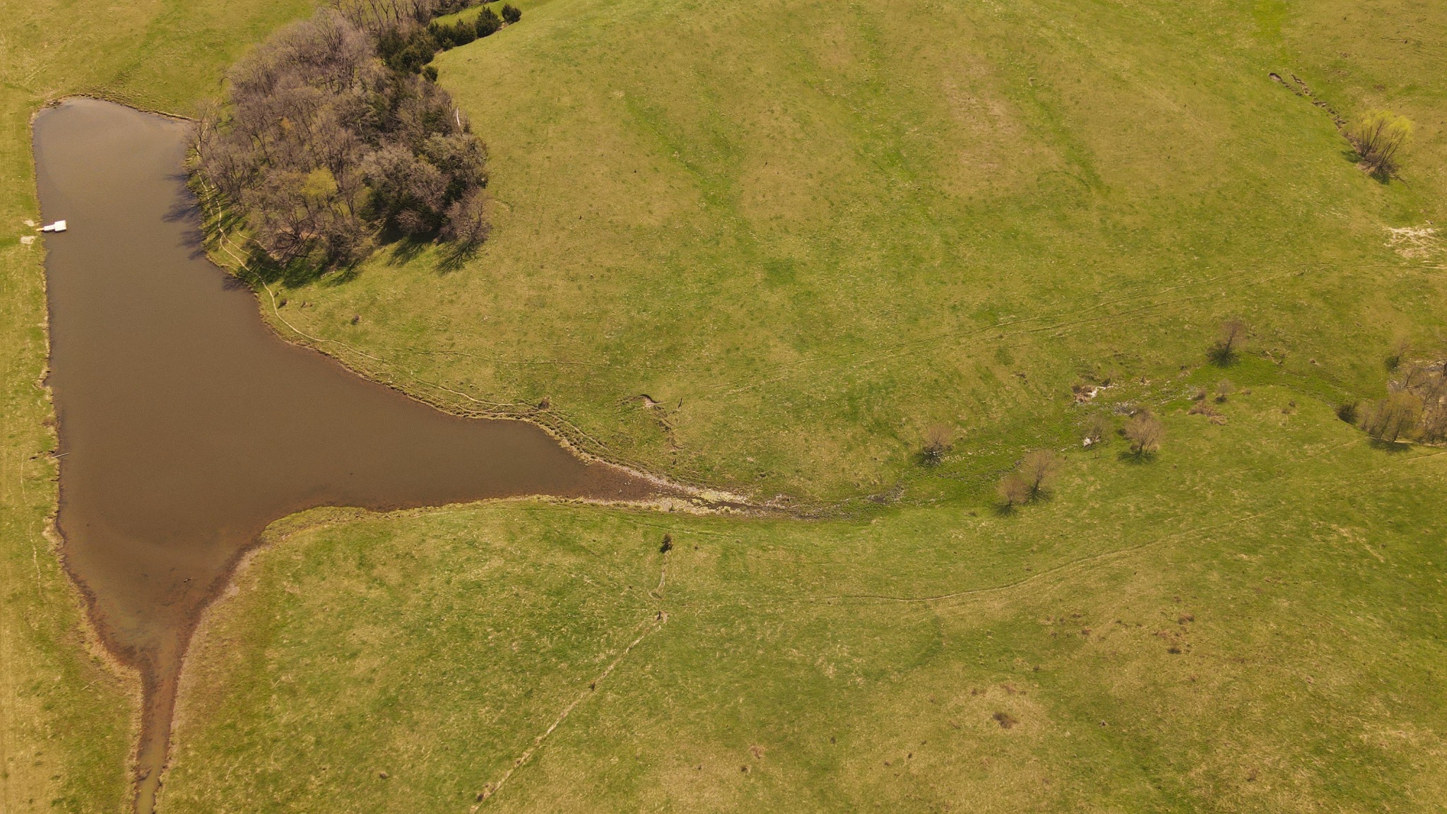 Aerial pond and pasture view