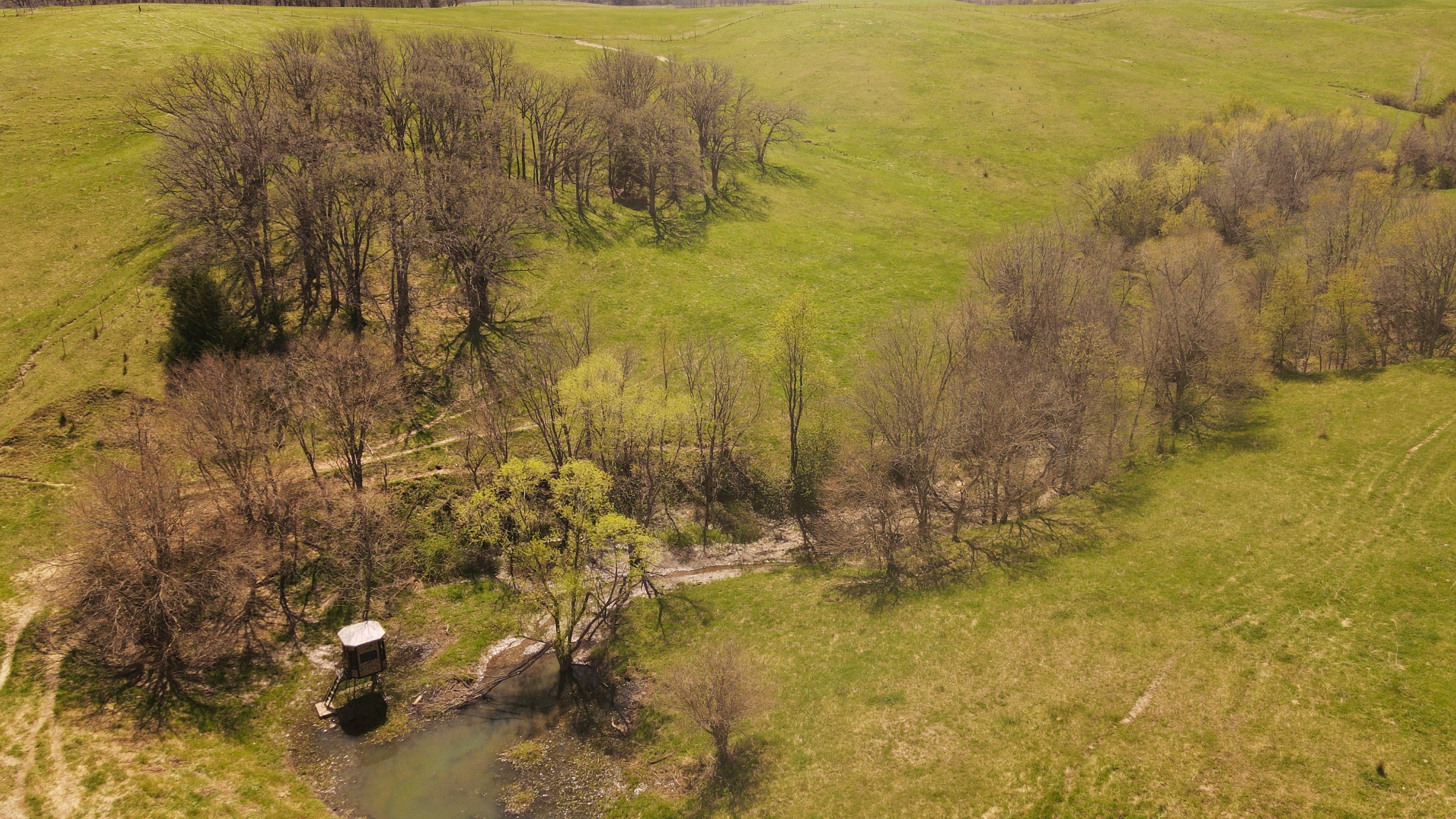 Creek, hunting blind, and timber habitat