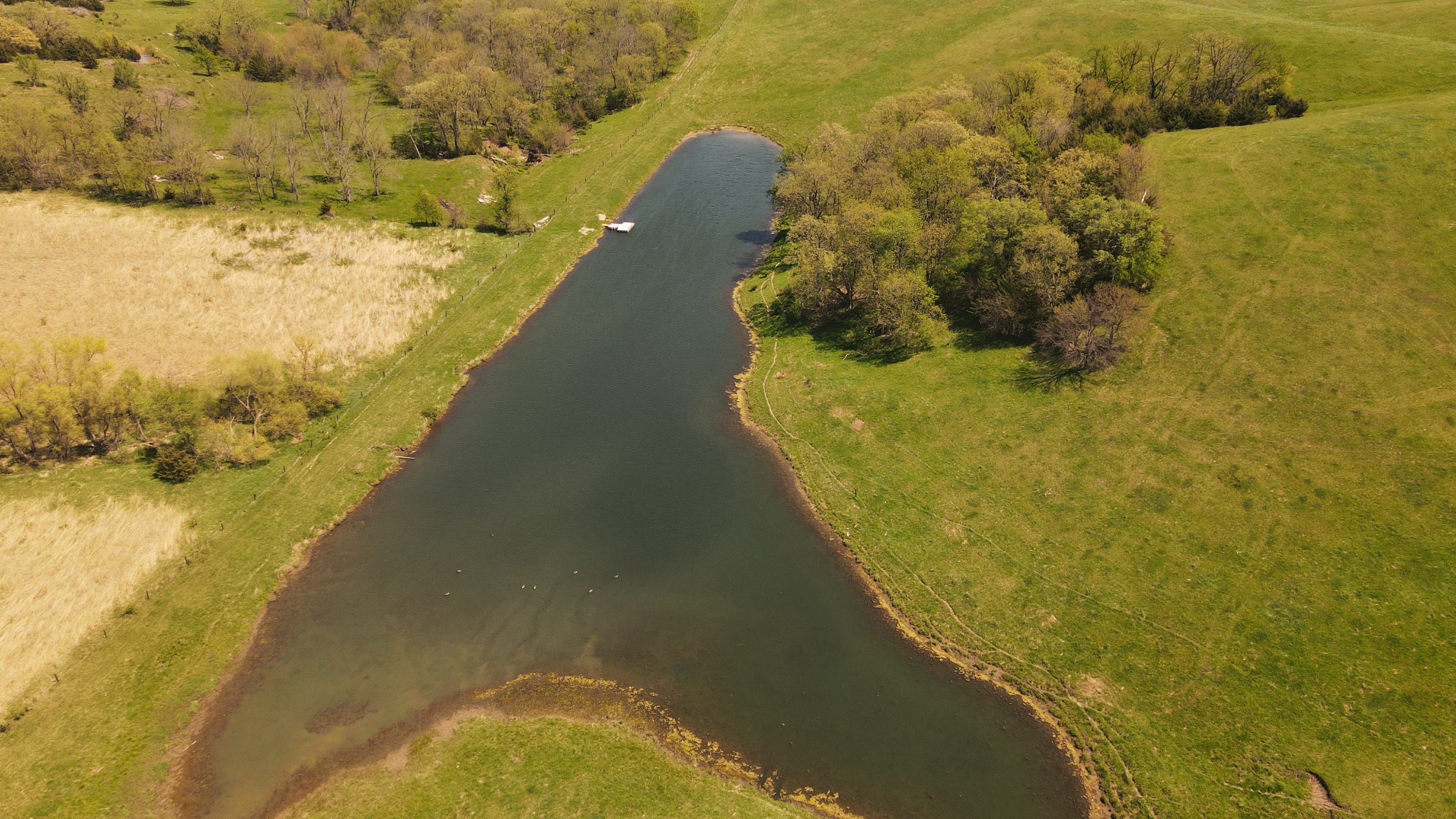 Large pond and surrounding pasture