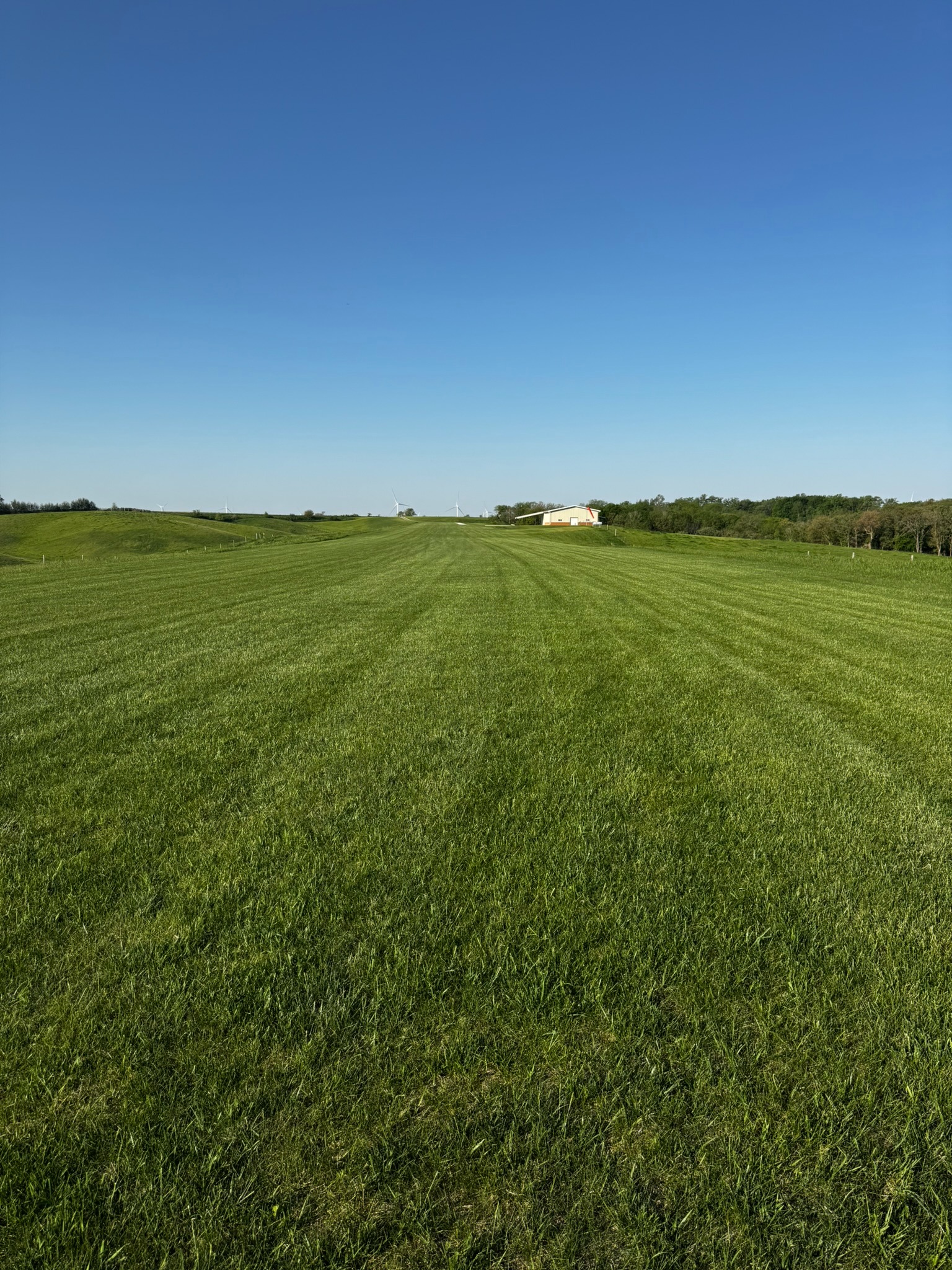 Open pasture