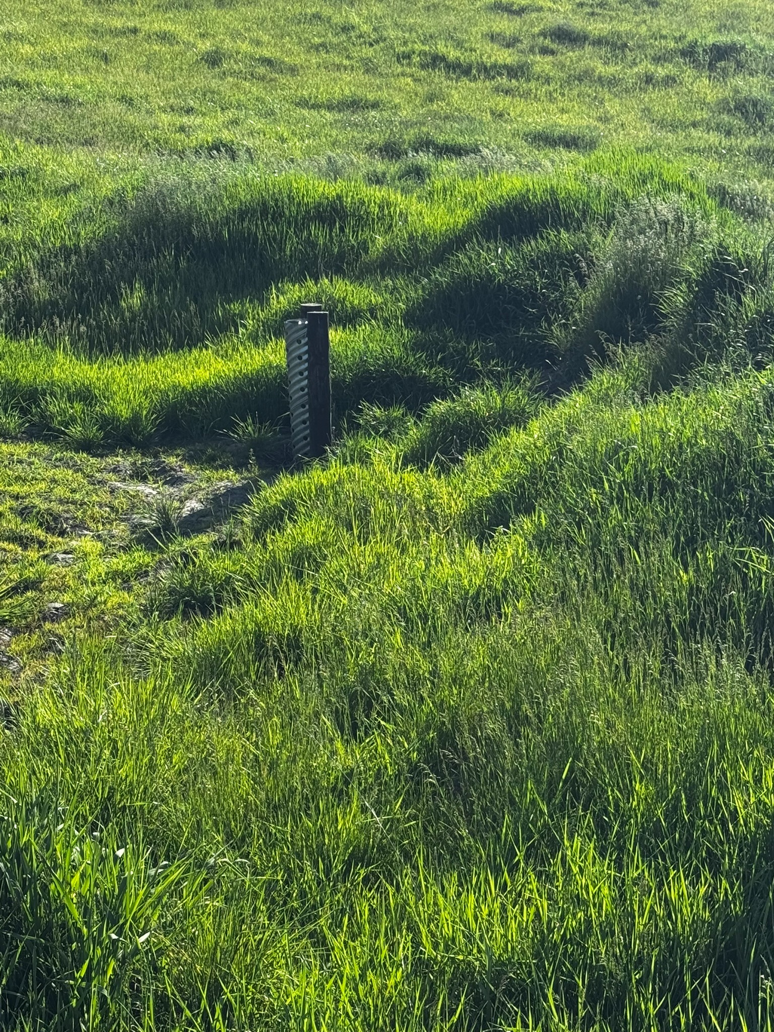 Drainage inlet