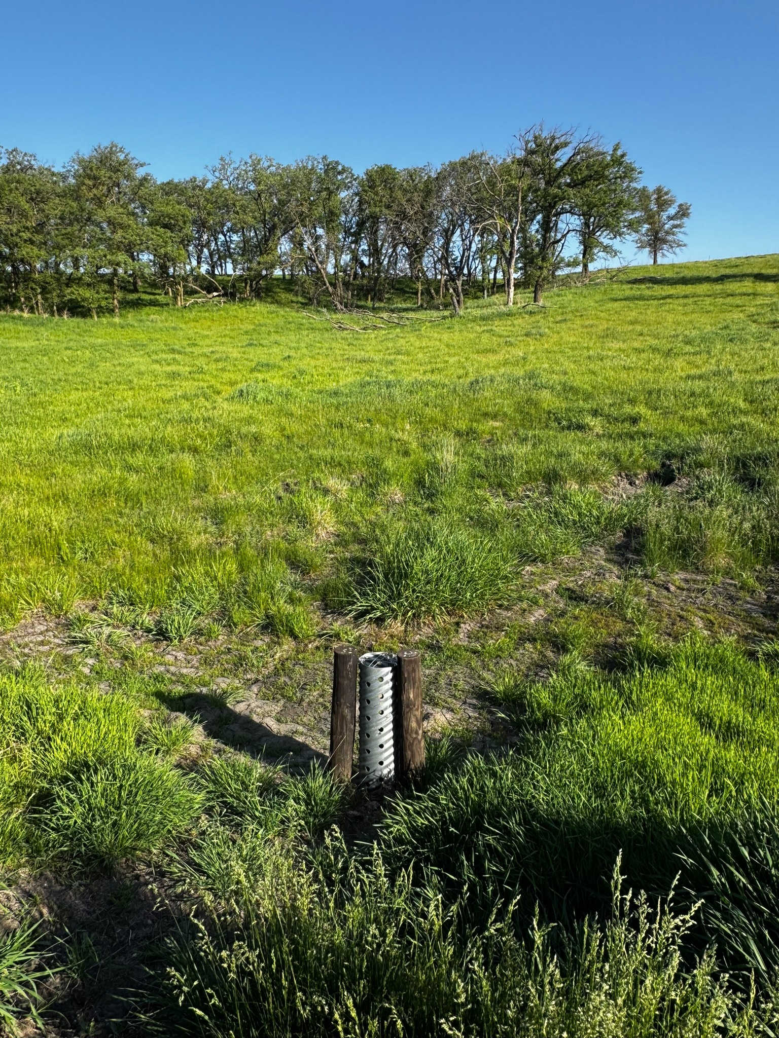 Drainage structure