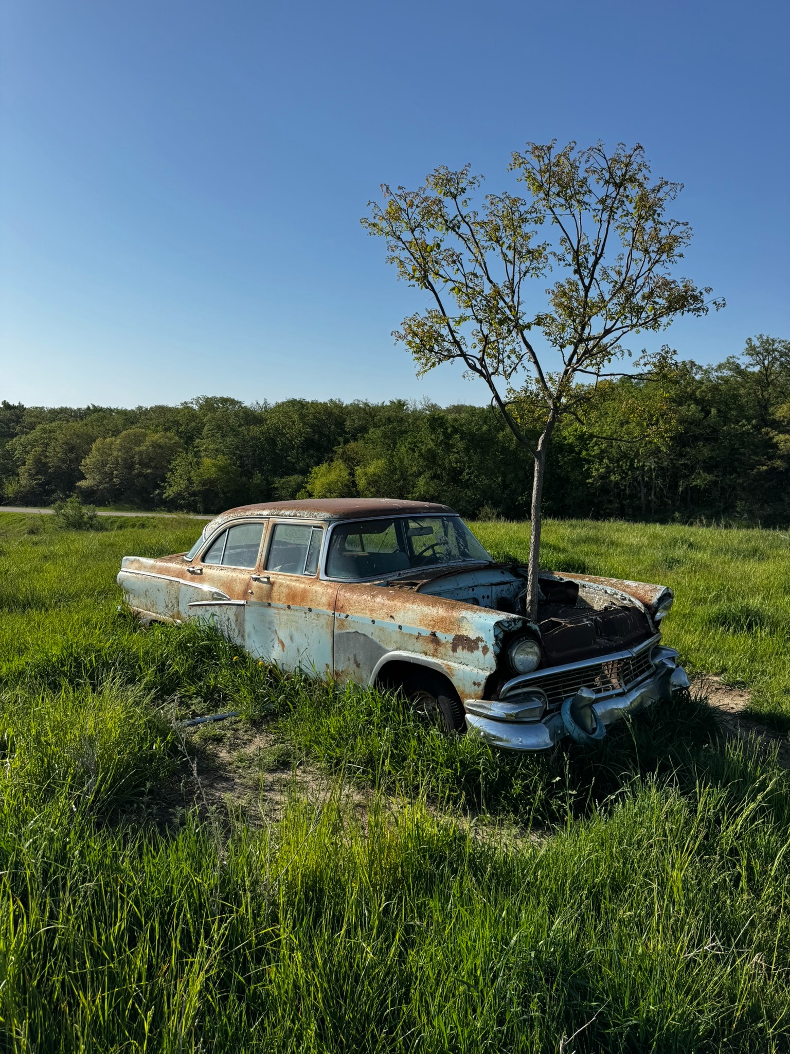 Car and tree landmark