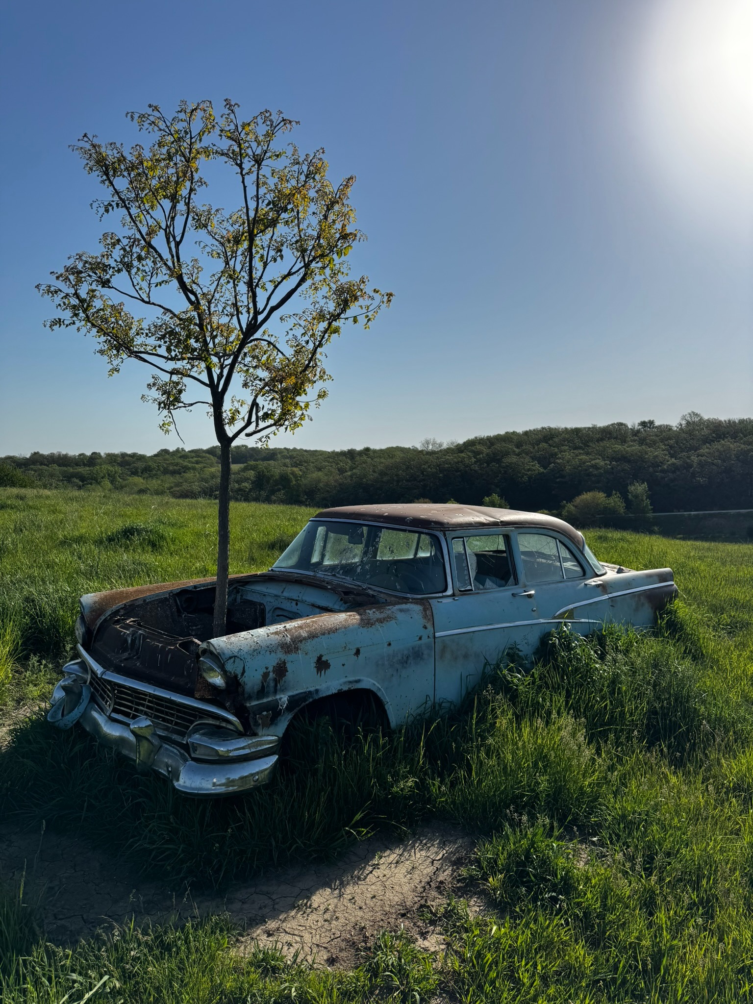 Rolling hills and timber